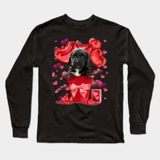 Black Cockapoo Dog In Red Pot Happy Valentine's Day Long Sleeve T-Shirt